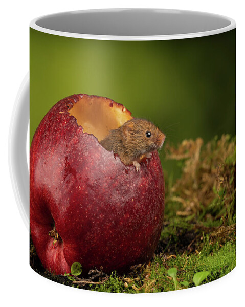 Harvest Coffee Mug featuring the photograph Hm-0838 by Miles Herbert