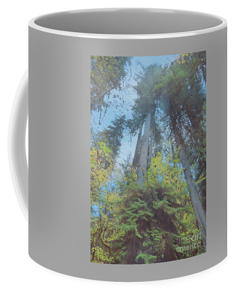Hoh Rainforest Coffee Mug featuring the photograph Hoh Rainforest - Looking UP by Charles Robinson