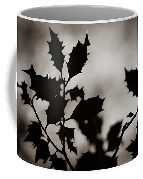 Holly Coffee Mug featuring the photograph Holly by Gavin Lewis