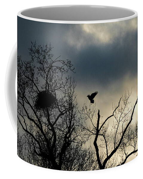 Eagle Coffee Mug featuring the photograph Home Before Dark by Alyssa Tumale