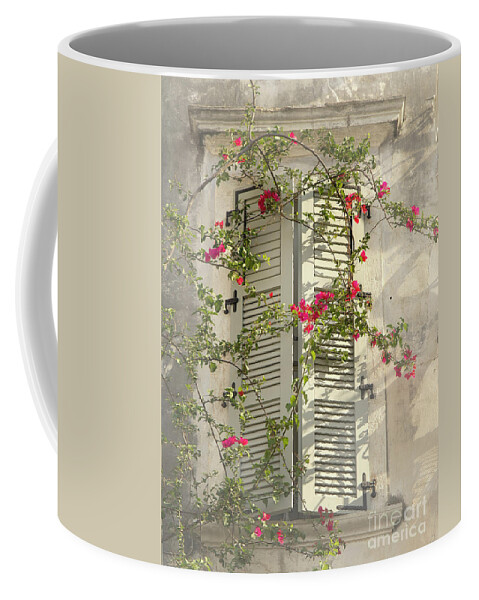 Home Sweet Window Shatters Flowers Soft Delicate Gentle Pleasing Impressionistic Impressions Impressionism Attractive Allure Atmospheric Uplifting Conceptual Charismatic Dreams Growing Flowering Peace Peaceful Tranquil Tranquility Restful Relaxing Relaxation Painterly Artistic Pastel Watercolor Art Old Smart Thought Provoking Thoughtful Haven House Poetic Magical Sunny Day Afternoon Foggy Misty Touching Life-style Half-opened Greece Corfu Greek Inspirational Spiritual Lightness Sun Highlights Coffee Mug featuring the photograph Home Sweet Home,warm Andtender by Tatiana Bogracheva