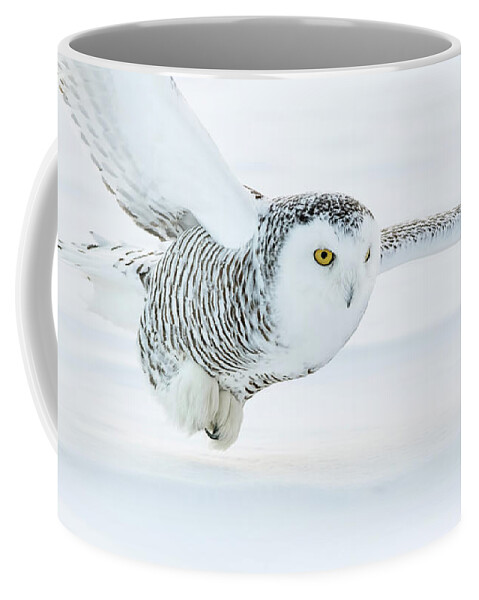 Owls Coffee Mug featuring the photograph Honed In by CR Courson