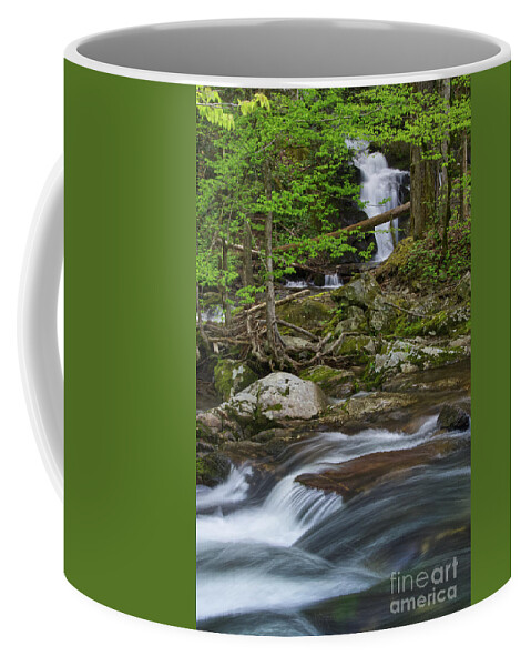 Honey Cove Falls Coffee Mug featuring the photograph Honey Cove Falls 3 by Phil Perkins