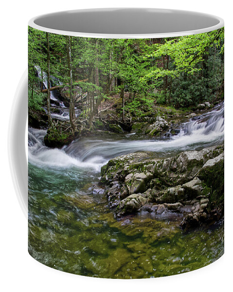 Honey Cove Falls Coffee Mug featuring the photograph Honey Cove Falls 6 by Phil Perkins