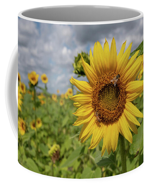 Sunflower Coffee Mug featuring the photograph Honeybee on Sunflower by Carolyn Hutchins