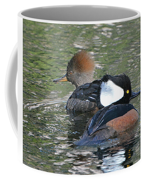 Hooded Merganser Coffee Mug featuring the photograph Hooded Merganser Pair by Jerry Griffin