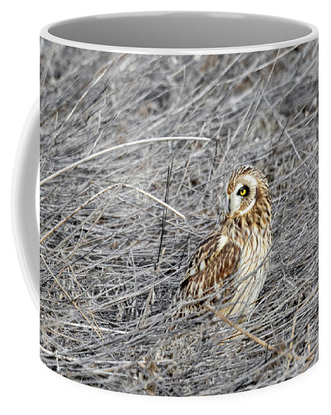 Owl Coffee Mug featuring the photograph Hoot Hoot by Ronnie And Frances Howard