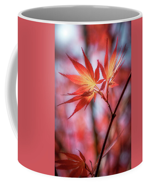 Leaves Coffee Mug featuring the photograph Hope is Red by Philippe Sainte-Laudy