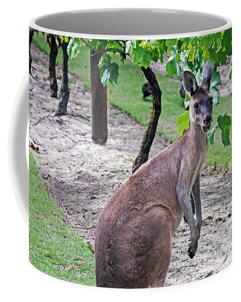 Kangaroo Coffee Mug featuring the photograph Hopping through the Vines by Catherine Reading