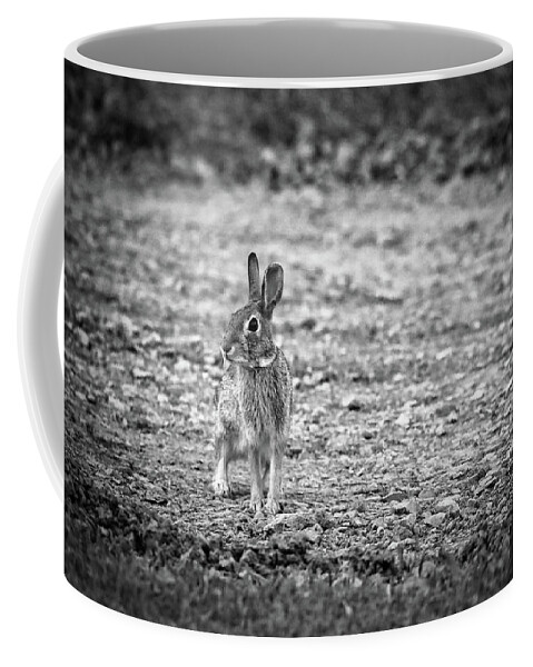Rabbit Coffee Mug featuring the photograph Hoppy In Black and White by Scott Burd