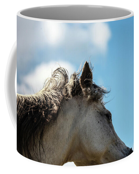 Horse Coffee Mug featuring the photograph Horse and Sky by Listen To Your Horse