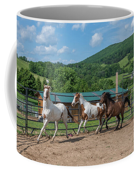 Horse Coffee Mug featuring the photograph Horse Corral by Tricia Louque