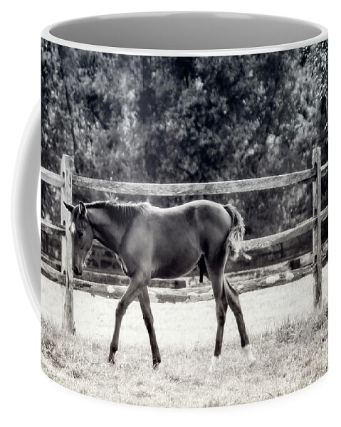 Nature Coffee Mug featuring the photograph Horse Farm Series 2 by Darlene Kwiatkowski