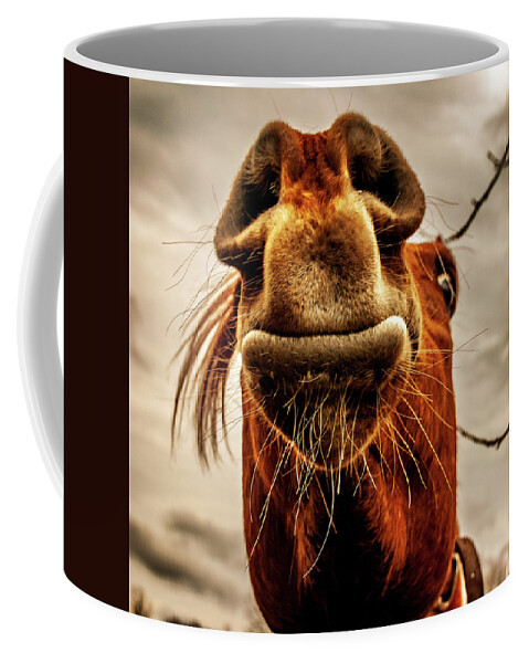 Horses New Jersey Medford Coffee Mug featuring the photograph Horse Head Mr. Ed by Louis Dallara