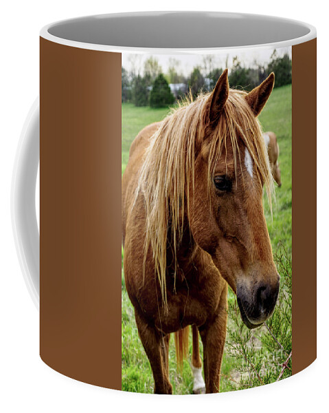 Horse Coffee Mug featuring the photograph Horse Hello by Jennifer White