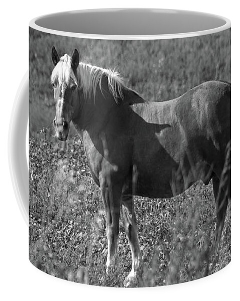 Horse In Black And White Coffee Mug featuring the photograph Horse in Black and White by Mike Murdock