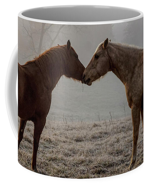 Horse Coffee Mug featuring the photograph Horse Love by Jennifer White