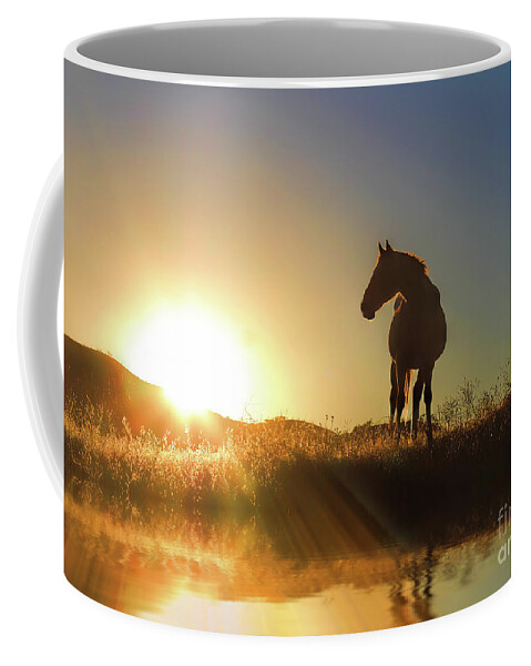 Horse Coffee Mug featuring the photograph Horse Water and Sunrise by Stephanie Laird
