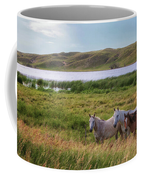 Horses Coffee Mug featuring the photograph Horses at Beem Lake - Sandhills Journey by Susan Rissi Tregoning