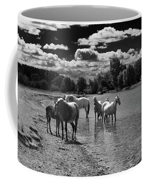 River Thames Coffee Mug featuring the photograph Horses at Godstow by Richard Donovan