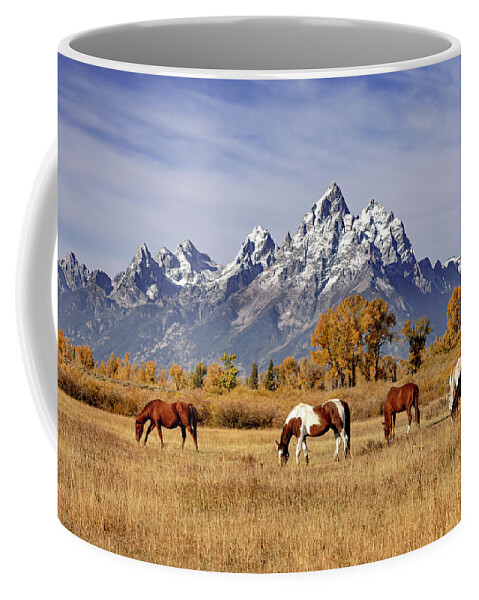 Grand Teton National Park Coffee Mug featuring the photograph Horses at Grand Teton by Jack Bell