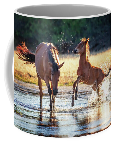Animal Coffee Mug featuring the photograph Horsing Around by Rick Furmanek