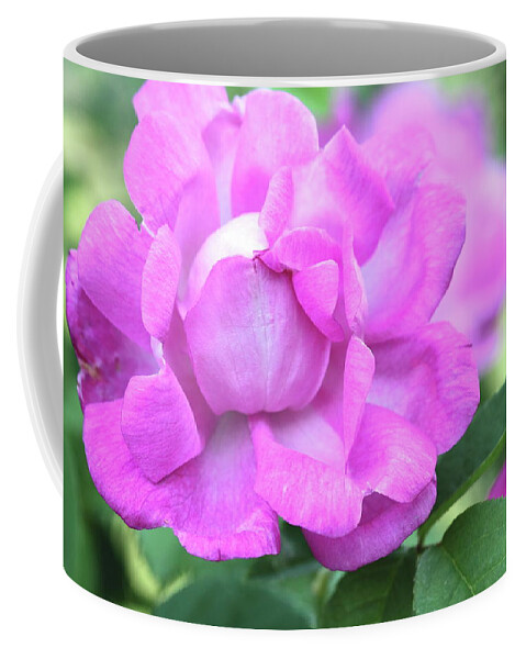 Pink Coffee Mug featuring the photograph Hot Pink by Ree Reid