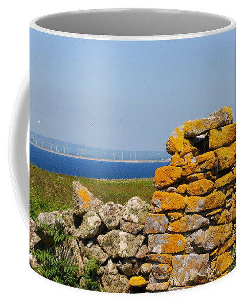 Ruins Coffee Mug featuring the photograph House ruins - Saltee Islands by Joe Cashin