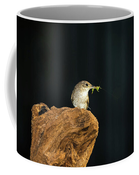 House Wren Coffee Mug featuring the photograph House Wren One by Dave Melear