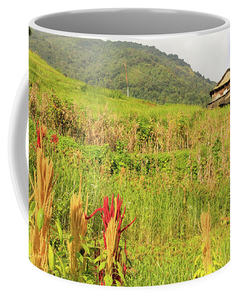 Nepal Coffee Mug featuring the photograph How Green Was My Valley by Josu Ozkaritz