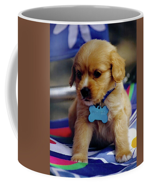 Puppy Coffee Mug featuring the photograph Huggy Bear by Jennifer Robin