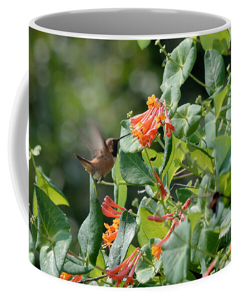 Hummingbird Coffee Mug featuring the photograph Hummer Headed for Lunch by Kae Cheatham