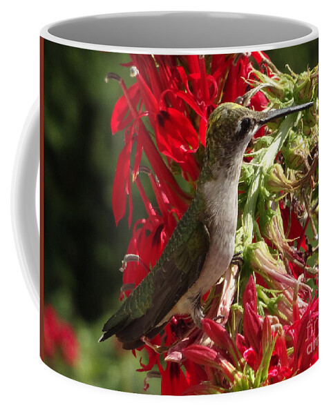 Copyright 2022 By Christopher Plummer Coffee Mug featuring the photograph Hummers Day 2-09 by Christopher Plummer