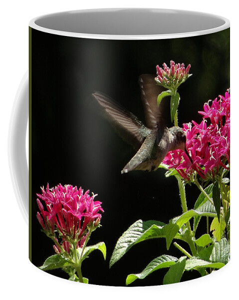 5 Star Coffee Mug featuring the photograph Hummers on Deck- 2-06 by Christopher Plummer