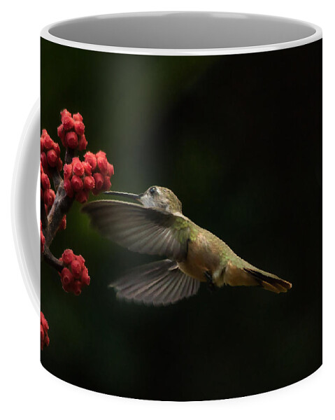 Humming Bird Coffee Mug featuring the photograph Humming Bird Motion by Montez Kerr
