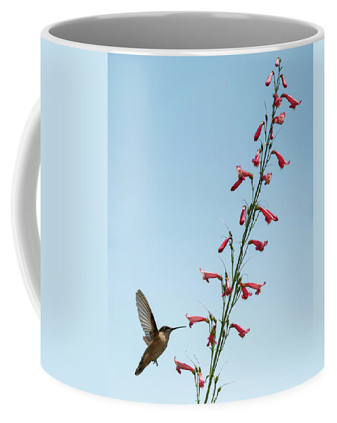 Hummingbird Coffee Mug featuring the photograph Hummingbird 2 by Stephen Holst