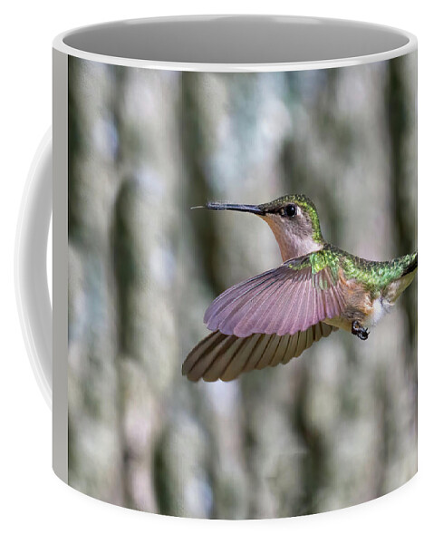 Hummingbird Coffee Mug featuring the photograph Hummingbird Wings Forward by Flinn Hackett