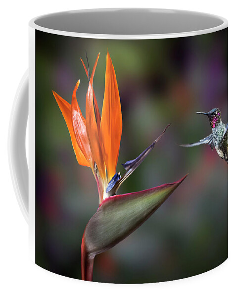 Hummingbird Coffee Mug featuring the photograph Hummingbird and Bird Of Paradise by Endre Balogh