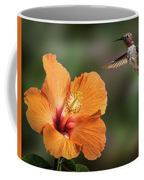 Hummingbird Coffee Mug featuring the photograph Hummingbird and Peach Hibiscus by Endre Balogh