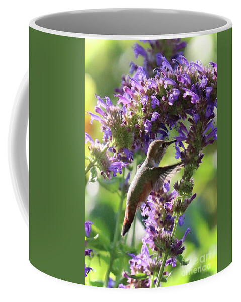 Hummingbird Mint Coffee Mug featuring the photograph Hummingbird Fancy by Carol Groenen