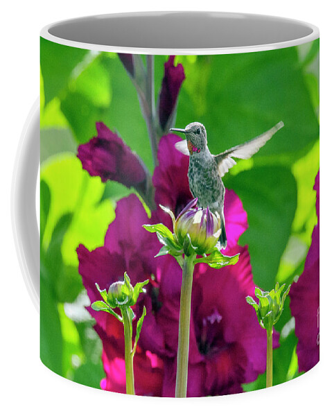 Garden Coffee Mug featuring the photograph Hummingbird Garden by Kristine Anderson