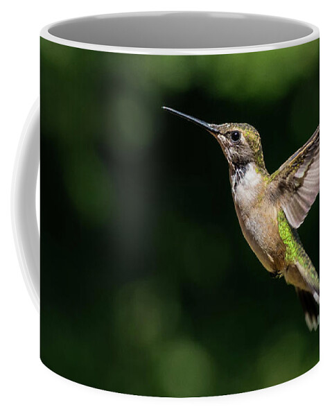 Hummingbird Coffee Mug featuring the photograph Hummingbird in Flight by Kenneth Everett
