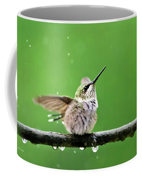 Hummingbird Coffee Mug featuring the photograph Hummingbird In The Rain by Christina Rollo