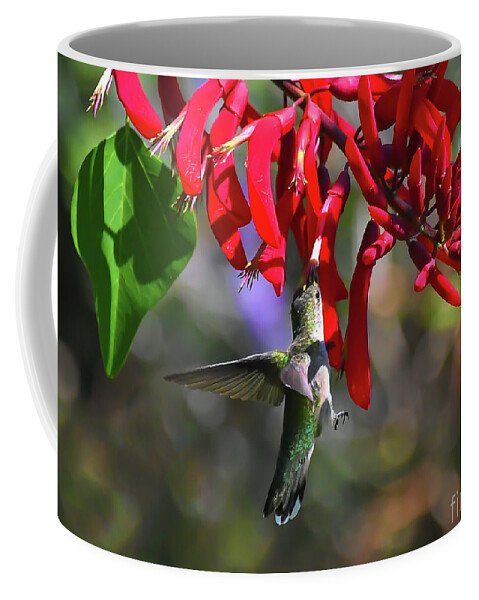 Hummingbird Coffee Mug featuring the photograph Hummingbird in the Red by Kerri Farley