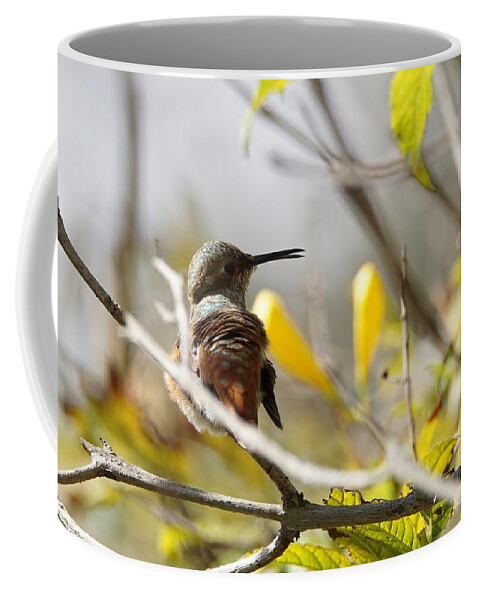 Hummingbirds Coffee Mug featuring the photograph Hummingbird looking back by Ernest Echols