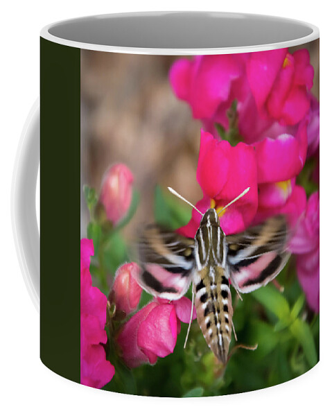 Colorado Flowers Coffee Mug featuring the photograph Hummingbird Moth in Motion by Debra Martz