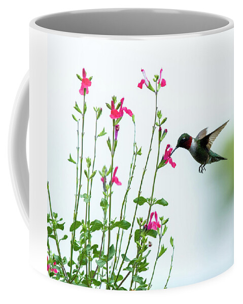 Hummingbird series 20 ounce coffee mug