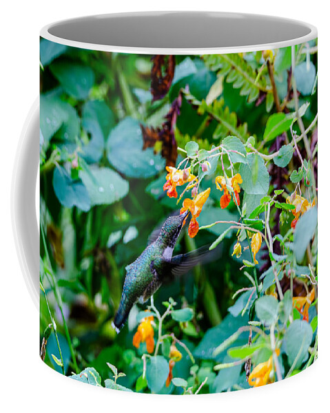 Hummingbird Coffee Mug featuring the photograph Hummingbird's Drink by Wild Fotos