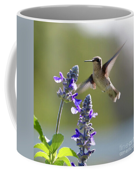 Curious Coffee Mug featuring the photograph Hummmingbird Says Hello by Carol Groenen