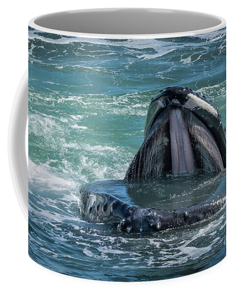 Humpback Coffee Mug featuring the photograph Humpback Open Wide by Lorraine Cosgrove